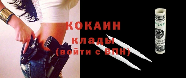 индика Майский