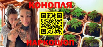 jwh Нальчик