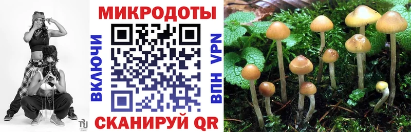 Галлюциногенные грибы Magic Shrooms  Мончегорск 
