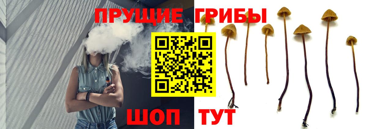 Псилоцибиновые грибы прущие грибы  Вход с VPN  Мончегорск  Галлюциногенные грибы Cubensis 